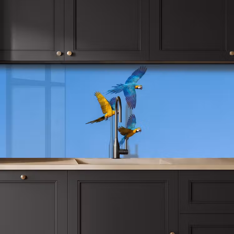Papagaai - Vliegen - Blauw - Geel keuken achterwand 2 middel -sfeer1