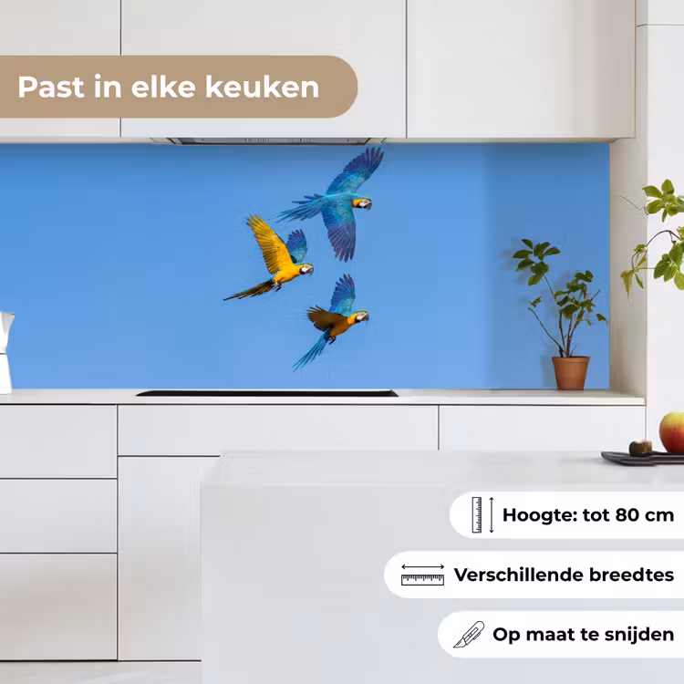 Papagaai - Vliegen - Blauw - Geel keuken achterwand 2 middel -sfeer4_NL