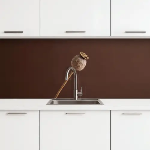 Papaverbol - Droogbloem - Bruin - Minimalistisch keuken achterwand 2 middel -3d