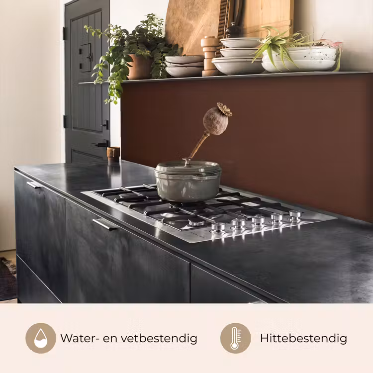Papaverbol - Droogbloem - Bruin - Minimalistisch keuken achterwand 2 middel -usp_NL