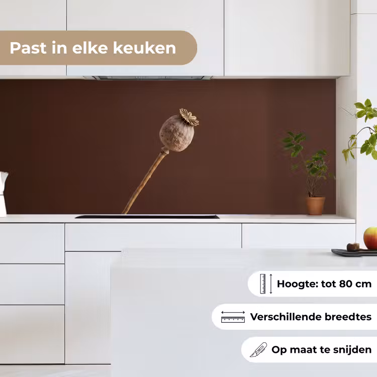 Papaverbol - Droogbloem - Bruin - Minimalistisch keuken achterwand 2 middel -sfeer4_NL