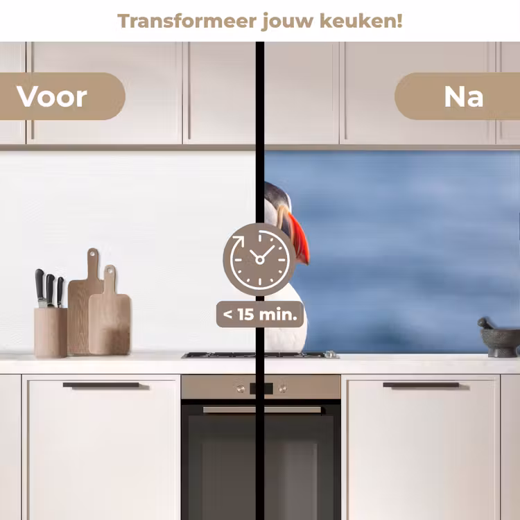 Papegaaiduiker - Portret - Natuur keuken achterwand 2 middel -voor-na2_NL