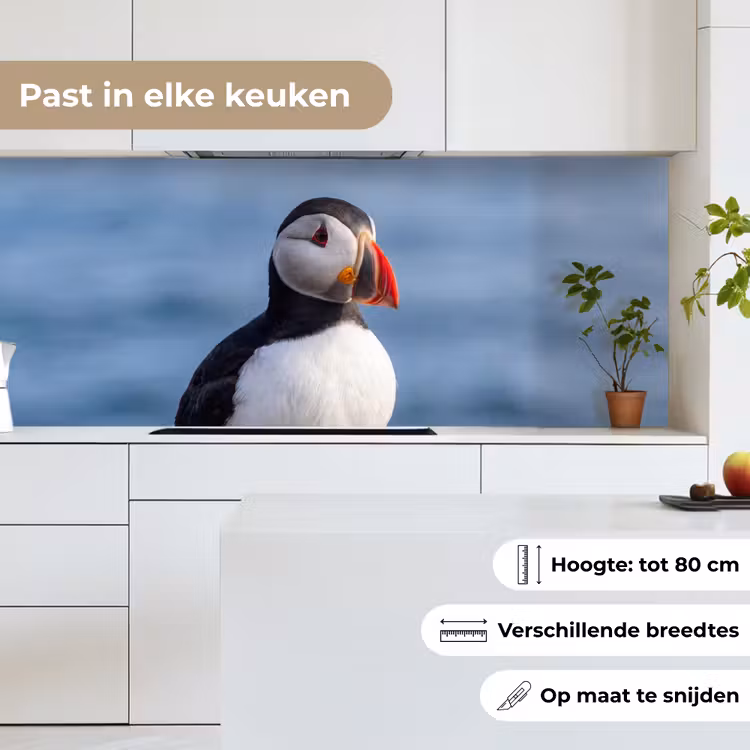 Papegaaiduiker - Portret - Natuur keuken achterwand 2 middel -sfeer4_NL