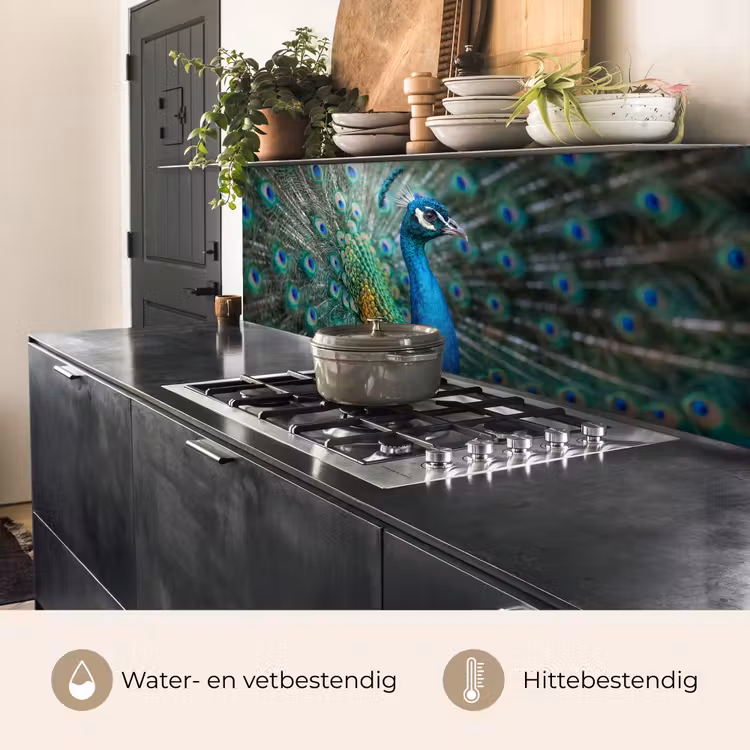 Pauw - Veren - Blauw keuken achterwand 2 middel -usp_NL