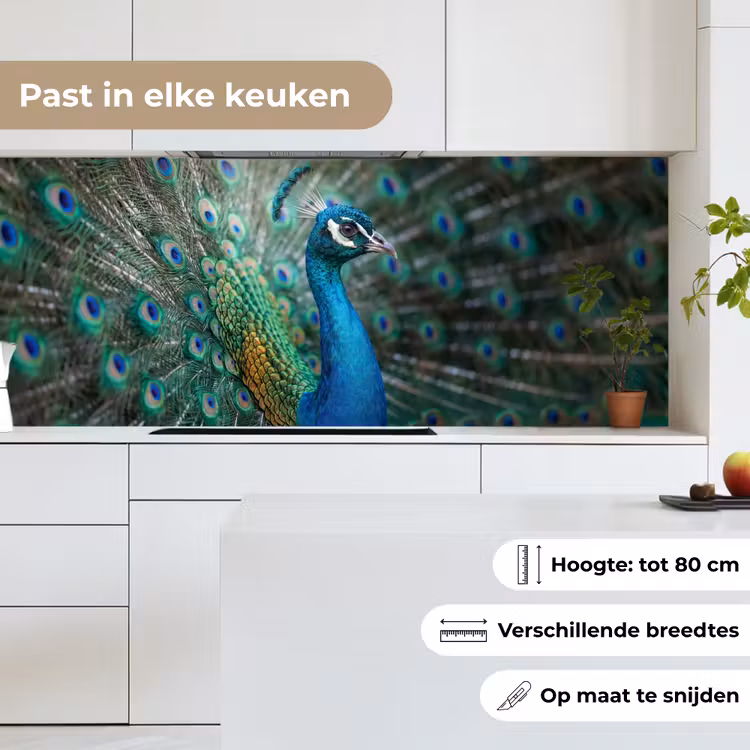 Pauw - Veren - Blauw keuken achterwand 2 middel -sfeer4_NL