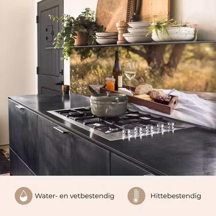 Picknick - Wijn - Kaasplankje keuken achterwand 2 middel -usp_NL