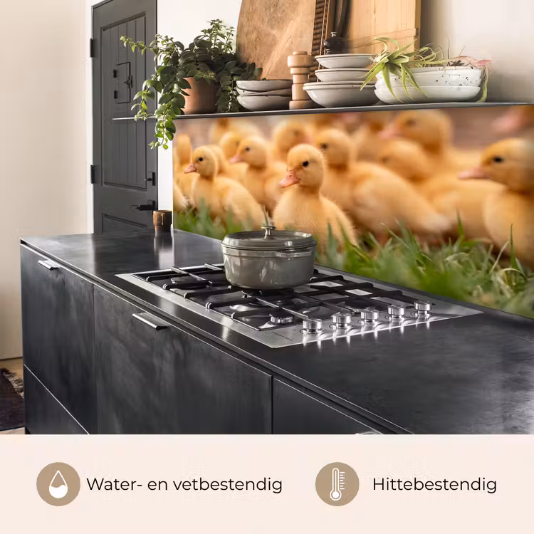 Pijltje - Eend - Natuur - Geel keuken achterwand 2 middel -usp_NL