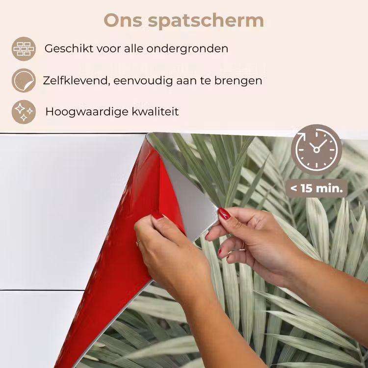 Plant - Palmbladeren - Natuur - Groen keuken achterwand spatscherm klein -spatscherm_NL