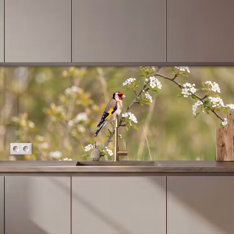 Putter - Bloesem - Lente - Natuur - Kleurrijk keuken achterwand 2 middel zz_3dshopping