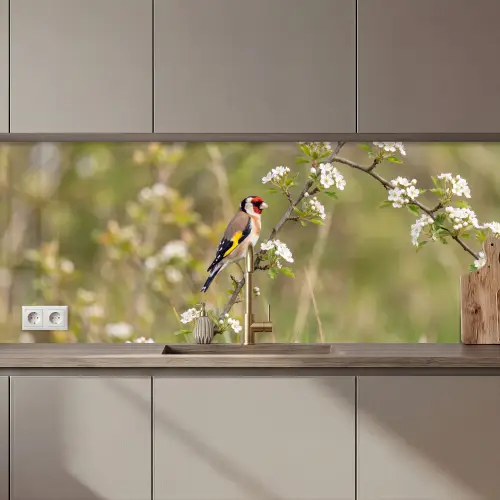 Putter - Bloesem - Lente - Natuur - Kleurrijk keuken achterwand 2 middel zz_3dshopping