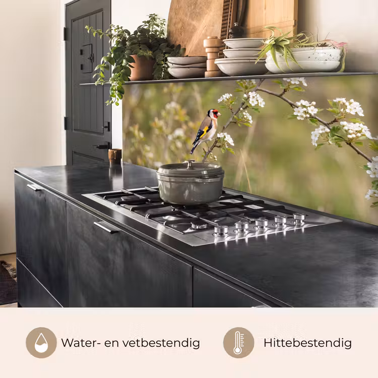 Putter - Bloesem - Lente - Natuur - Kleurrijk keuken achterwand 2 middel -usp_NL