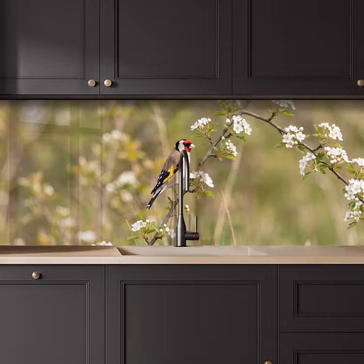 Putter - Bloesem - Lente - Natuur - Kleurrijk keuken achterwand 2 middel -sfeer1