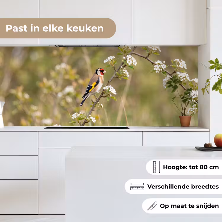 Putter - Bloesem - Lente - Natuur - Kleurrijk keuken achterwand 2 middel -sfeer4_NL