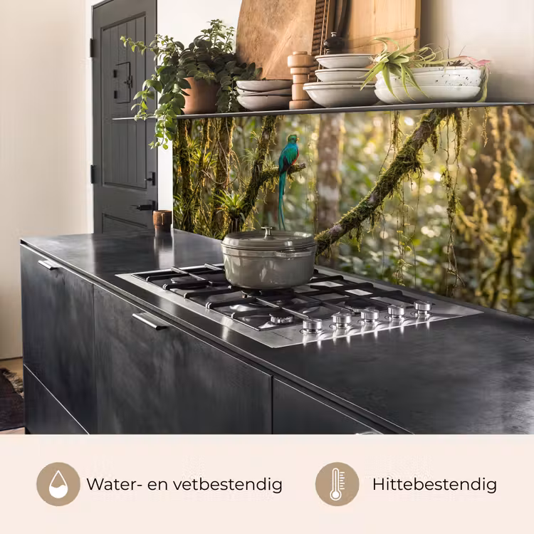 Quetzal - Jungle - Natuur - Groen keuken achterwand 2 middel -usp_NL