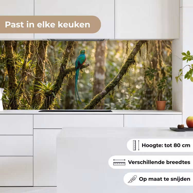 Quetzal - Jungle - Natuur - Groen keuken achterwand 2 middel -sfeer4_NL