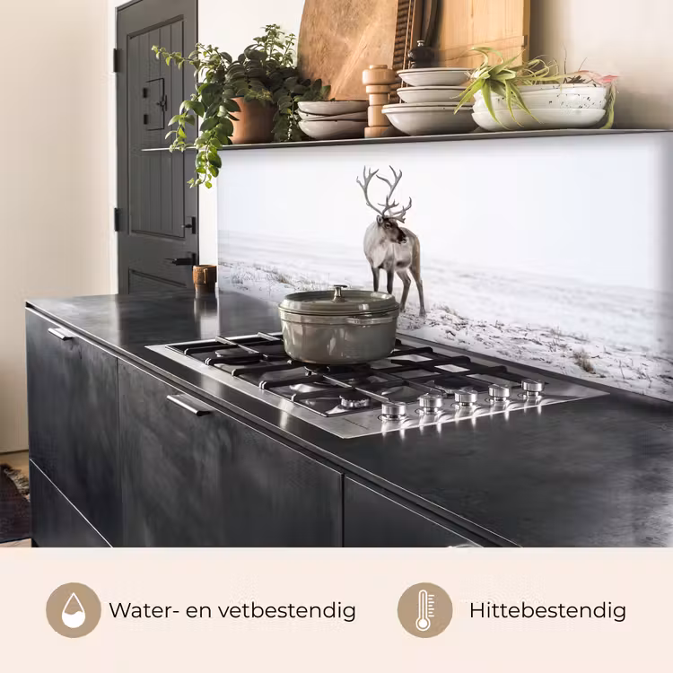 Rendier - Gewei - Sneeuw - Winter keuken achterwand 2 middel -usp_NL