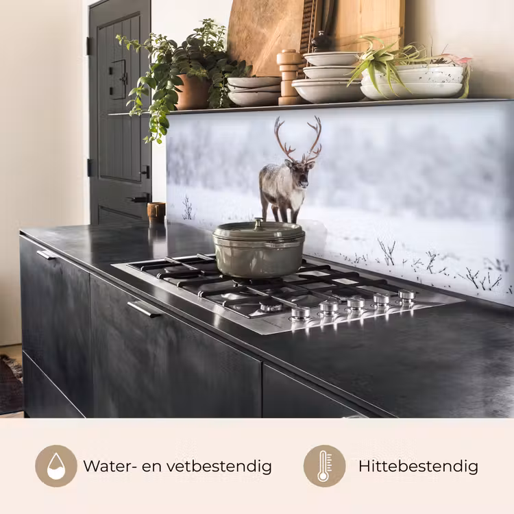 Rendier - Gewei - Toendra - Sneeuw - Wild keuken achterwand 2 middel -usp_NL