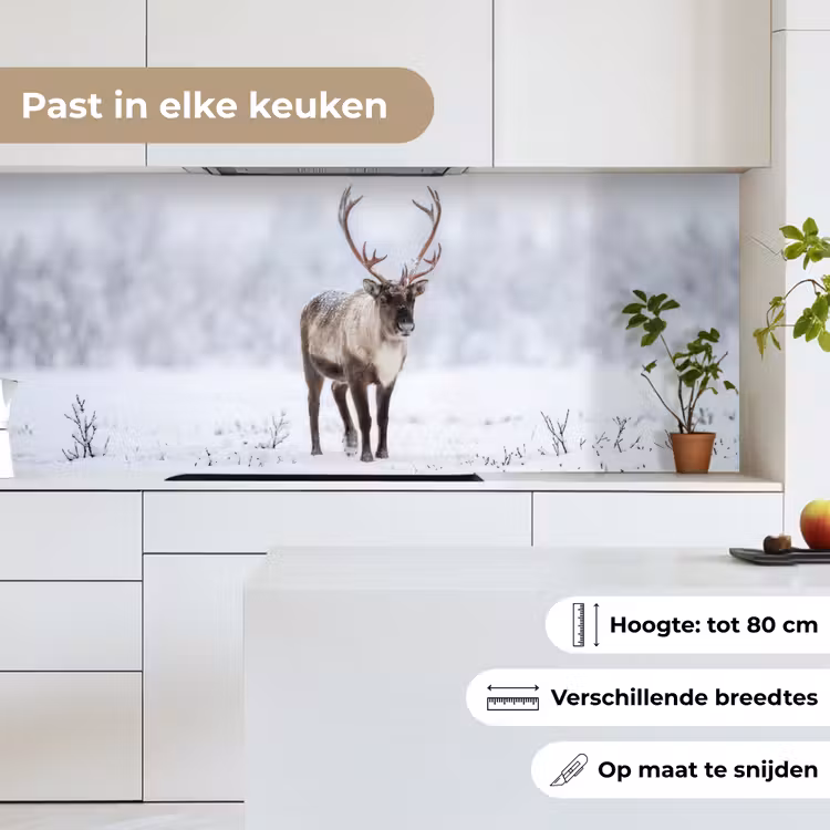 Rendier - Gewei - Toendra - Sneeuw - Wild keuken achterwand 2 middel -sfeer4_NL