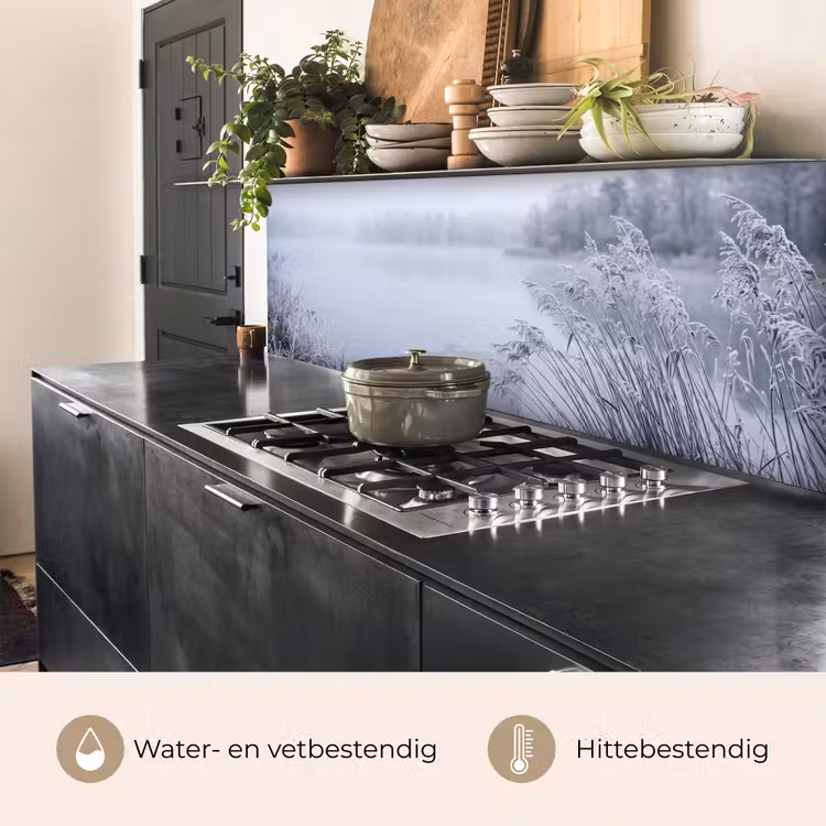 Riet - Bevroren - Winter - Natuur keuken achterwand 2 middel -usp_NL