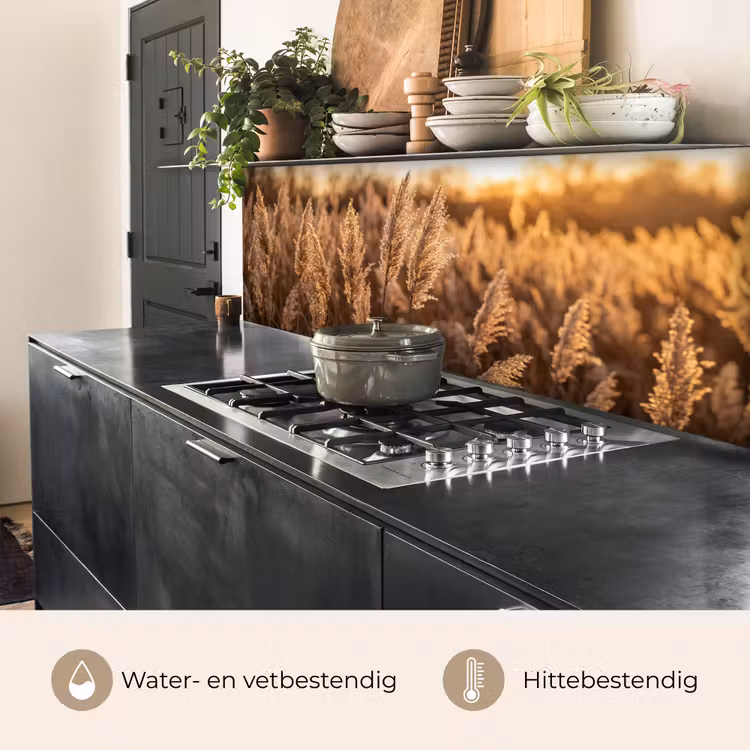 Rietpluimen - Gras - Zonsondergang - Goud - Serene keuken achterwand 2 middel -usp_NL