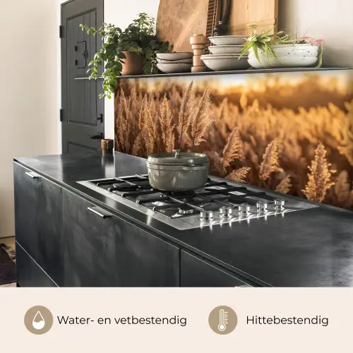 Rietpluimen - Gras - Zonsondergang - Goud - Serene keuken achterwand 2 middel -usp_NL