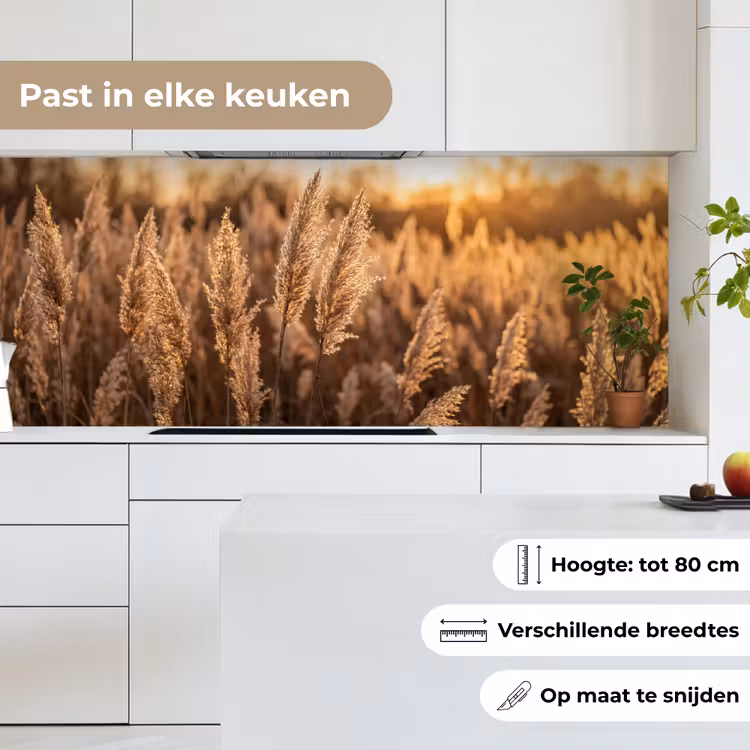 Rietpluimen - Gras - Zonsondergang - Goud - Serene keuken achterwand 2 middel -sfeer4_NL