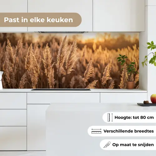 Rietpluimen - Gras - Zonsondergang - Goud - Serene keuken achterwand 2 middel -sfeer4_NL