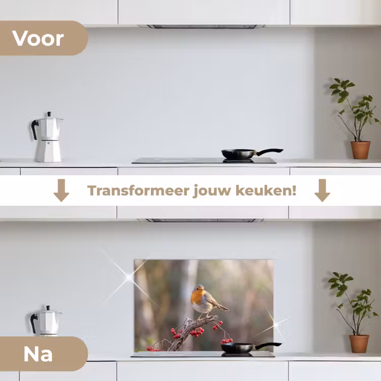 Roodborst - Tak - Bessen - Natuur keuken achterwand 2 middel -voor-na2_NL