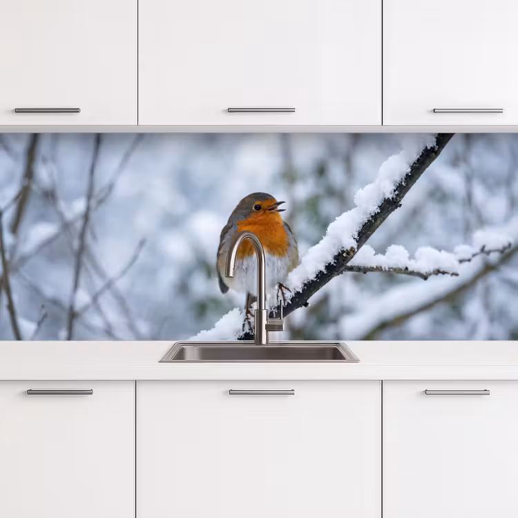 Roodborstje - Tak - Sneeuw - Winter - Levendig keuken achterwand 2 middel -3d