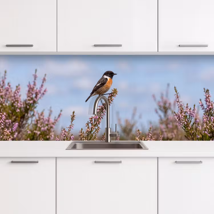 Roodborsttapuit - Heide - Paars - Natuur - Sfeervol keuken achterwand 2 middel -3d