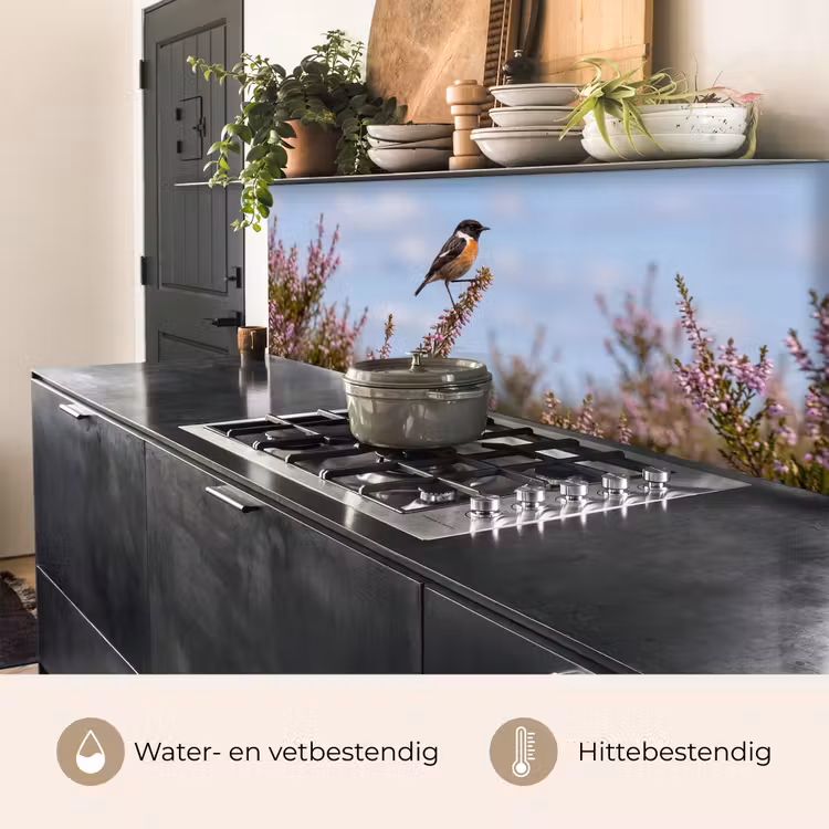 Roodborsttapuit - Heide - Paars - Natuur - Sfeervol keuken achterwand 2 middel -usp_NL