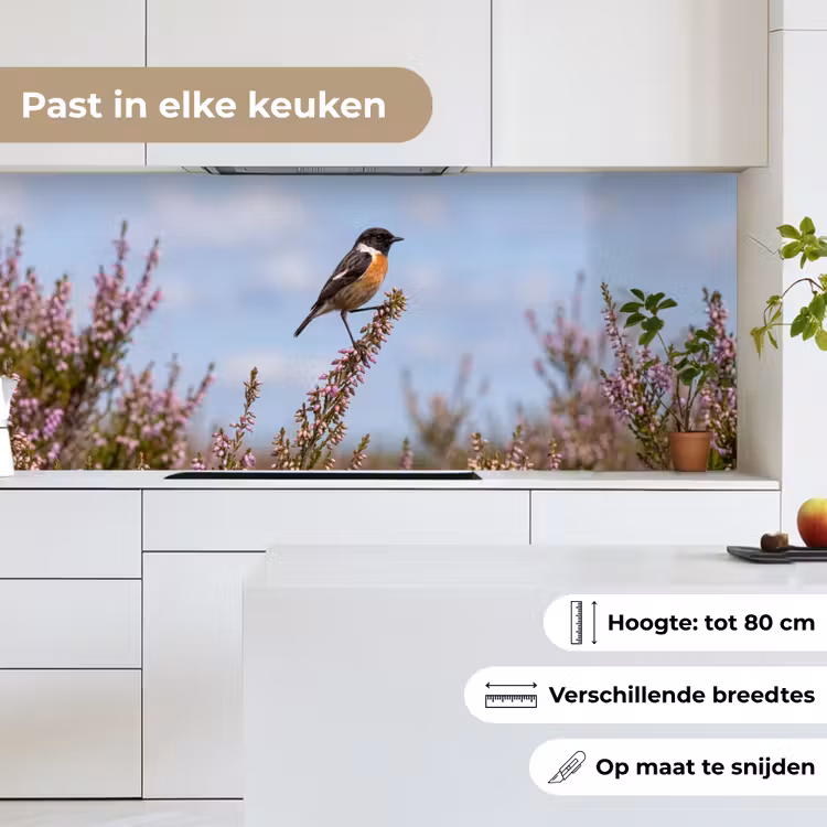 Roodborsttapuit - Heide - Paars - Natuur - Sfeervol keuken achterwand 2 middel -sfeer4_NL