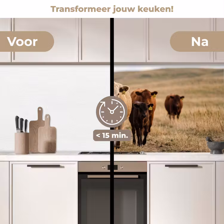 Runderen - Kudde - Landschap - Weide - Rustig keuken achterwand 2 middel -voor-na2_NL