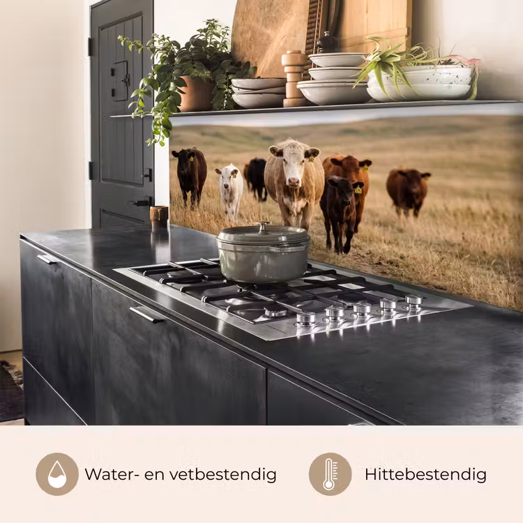 Runderen - Kudde - Landschap - Weide - Rustig keuken achterwand 2 middel -usp_NL