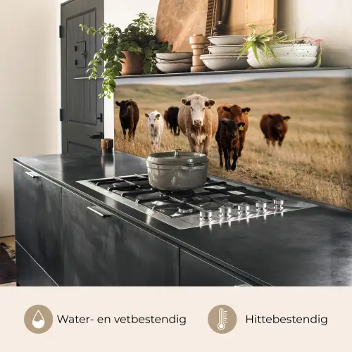 Runderen - Kudde - Landschap - Weide - Rustig keuken achterwand 2 middel -usp_NL