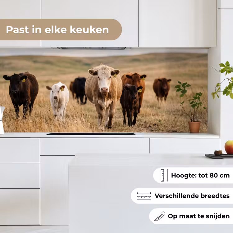 Runderen - Kudde - Landschap - Weide - Rustig keuken achterwand 2 middel -sfeer4_NL