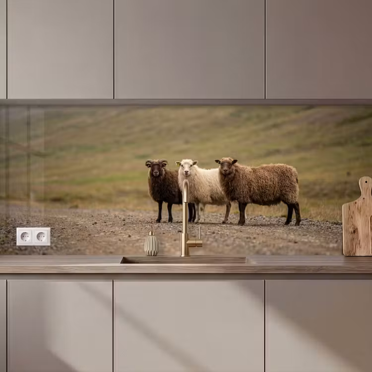 Schapen - Bruin - Wit - Grindpad keuken achterwand 2 middel zz_3dshopping