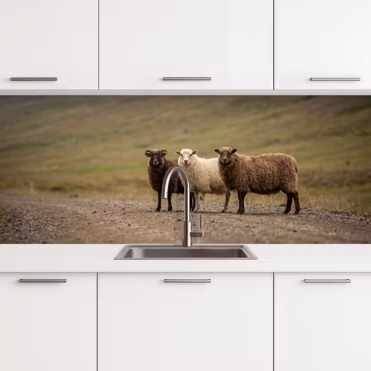 Schapen - Bruin - Wit - Grindpad keuken achterwand 2 middel -3d