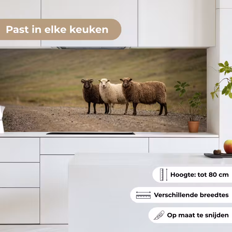 Schapen - Bruin - Wit - Grindpad keuken achterwand 2 middel -sfeer4_NL