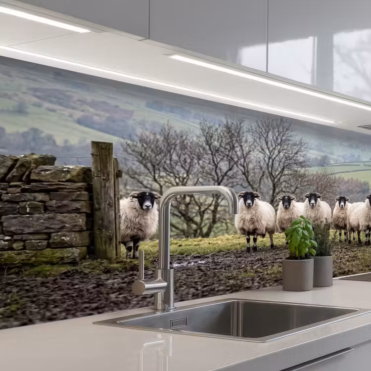 Schapen - Rij - Weide - Dieren - Platteland keuken achterwand 2 middel -3d_schuin