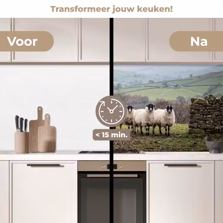 Schapen - Rij - Weide - Dieren - Platteland keuken achterwand 2 middel -voor-na2_NL