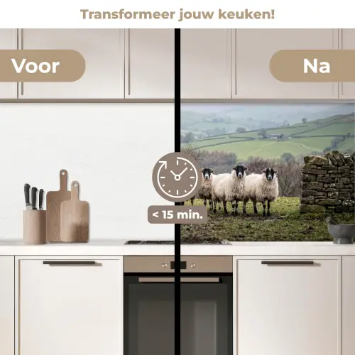 Schapen - Rij - Weide - Dieren - Platteland keuken achterwand 2 middel -voor-na2_NL