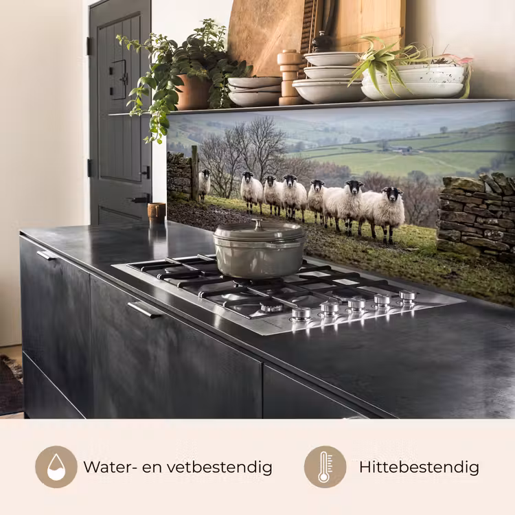 Schapen - Rij - Weide - Dieren - Platteland keuken achterwand 2 middel -usp_NL