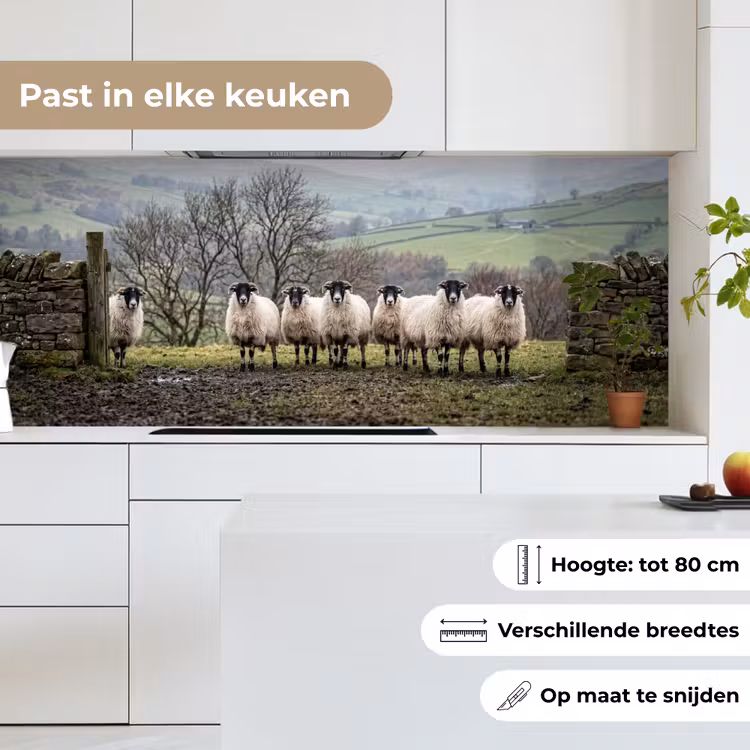 Schapen - Rij - Weide - Dieren - Platteland keuken achterwand 2 middel -sfeer4_NL