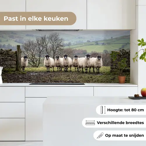 Schapen - Rij - Weide - Dieren - Platteland keuken achterwand 2 middel -sfeer4_NL