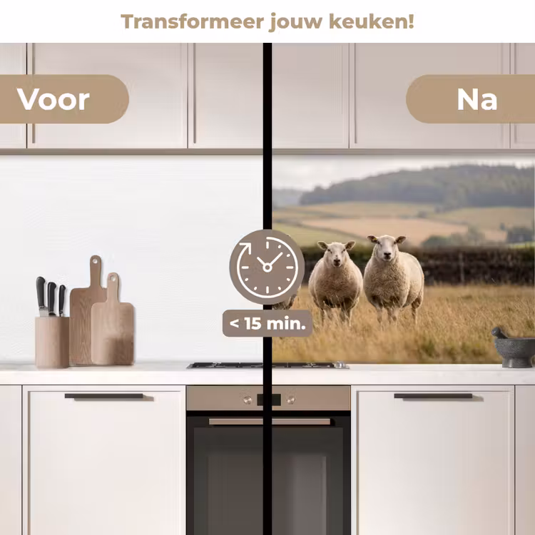Schapen - Weidenlandschap - Heuvels keuken achterwand 2 middel -voor-na2_NL