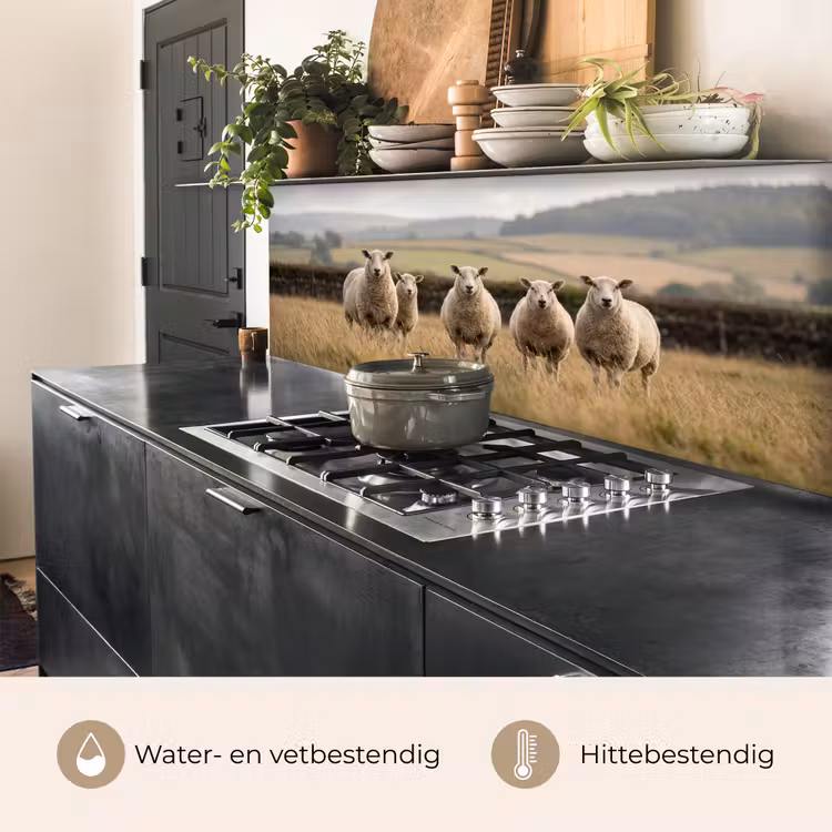 Schapen - Weidenlandschap - Heuvels keuken achterwand 2 middel -usp_NL