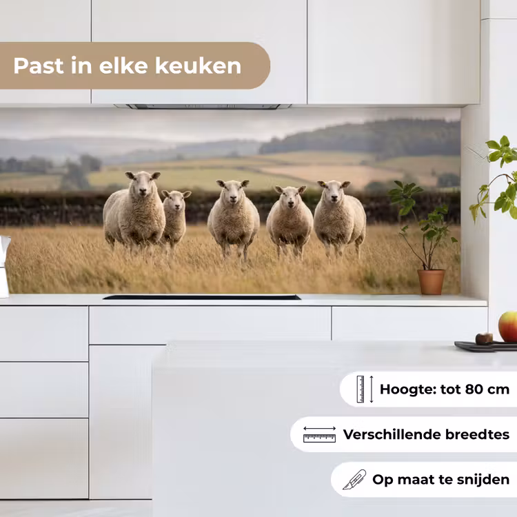 Schapen - Weidenlandschap - Heuvels keuken achterwand 2 middel -sfeer4_NL