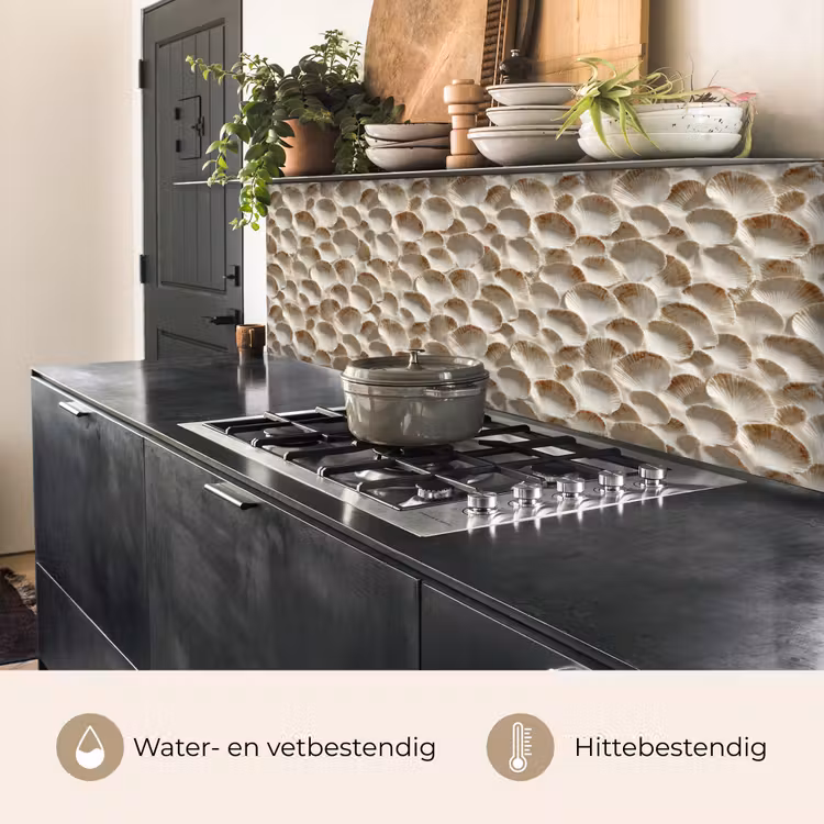 Schelpen - Waaiervorm - Wit keuken achterwand 2 middel 871 -usp_NL