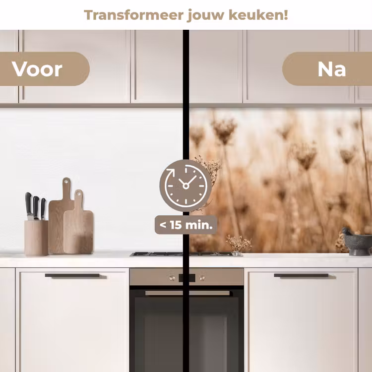 Schermbloem - Droogbloem - Winter - Beige - Minimalistisch keuken achterwand 2 middel -voor-na2_NL